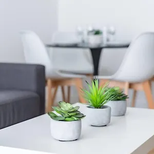 Bourse Opéra Appartement Paris